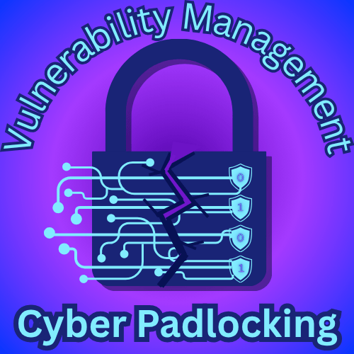 Vulnerability Management
